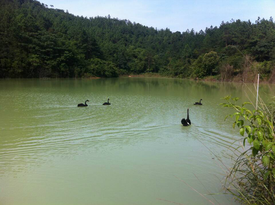 高山平湖