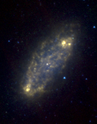 NGC 2976