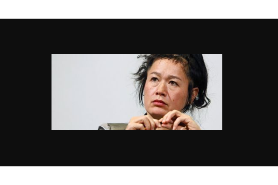 Hito Steyerl