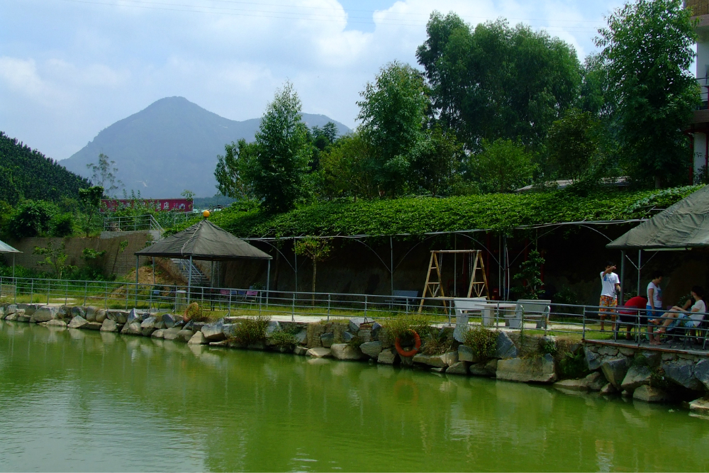 高南村(福建省龍巖市永定縣高頭鄉高南村)