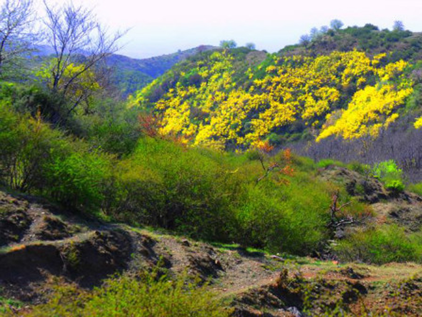 江口村(山西運城芮城縣陽城鎮下轄村)