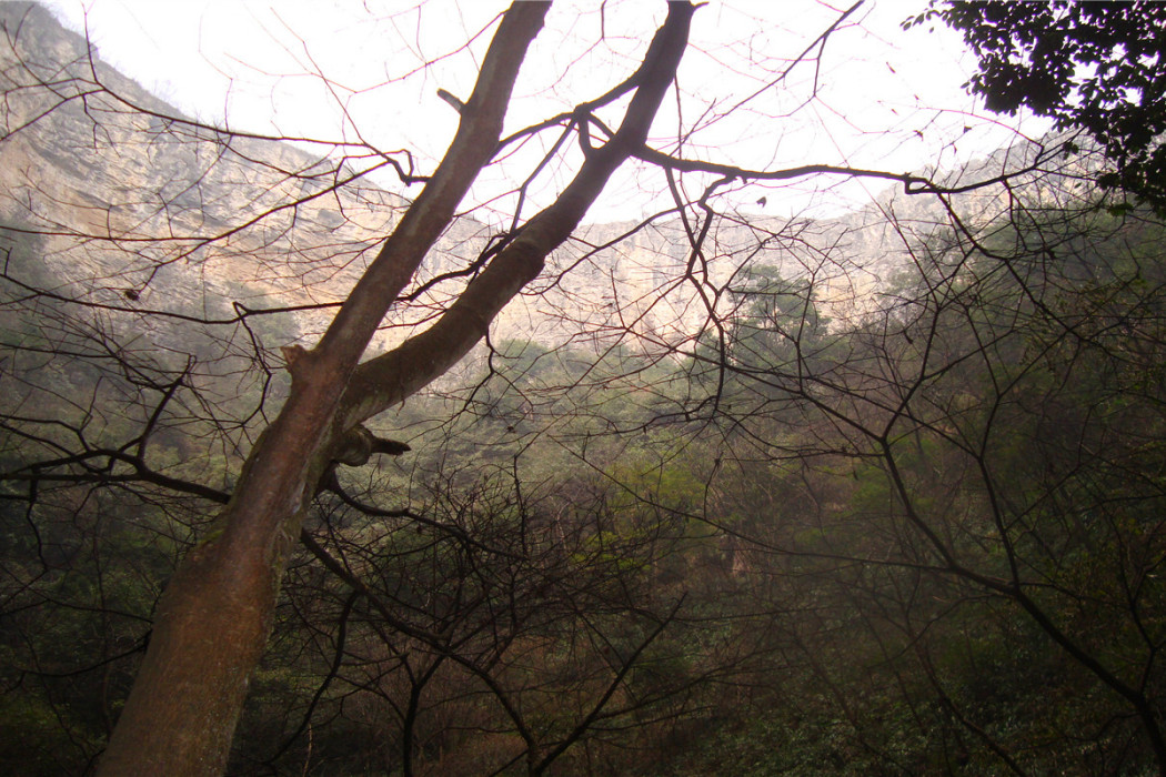 平塘天坑群