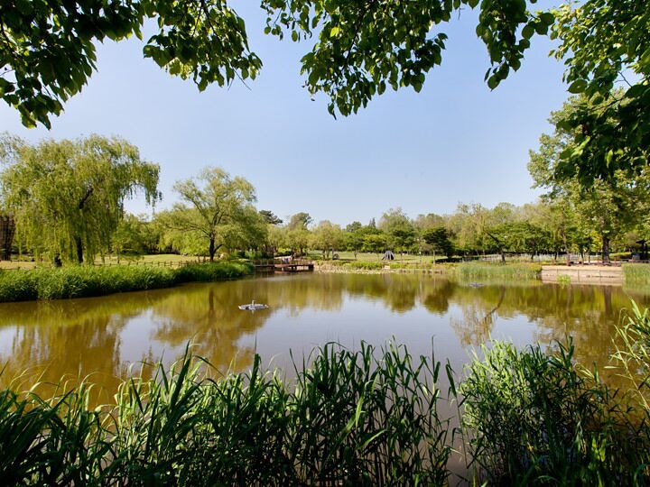 龍山家族公園