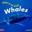 Whales(1997年Barrons Juveniles出版的圖書)