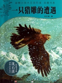 一隻獵雕的遭遇(沈石溪所作長篇小說)