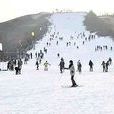 雲山滑雪場