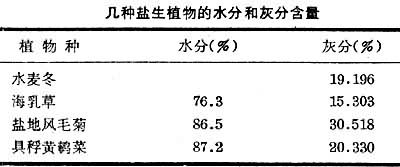 鹽沼生態