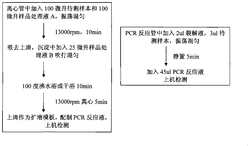 一種提取靶核酸並進行PCR擴增檢測的方法