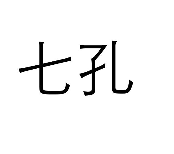 七孔