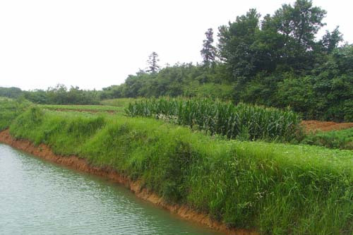 東壩古城址