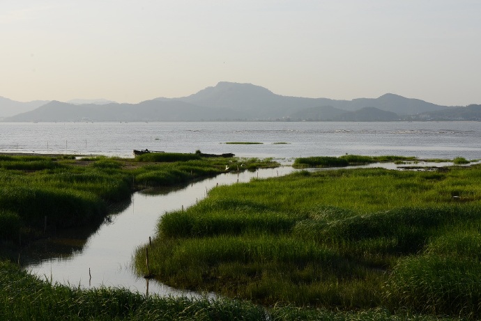 閩江河口國家濕地公園