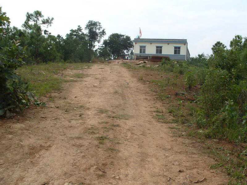 進村道路