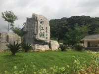 廣州市白江湖森林公園