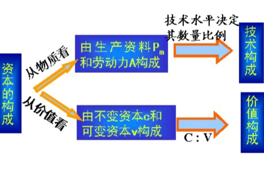 資本價值構成