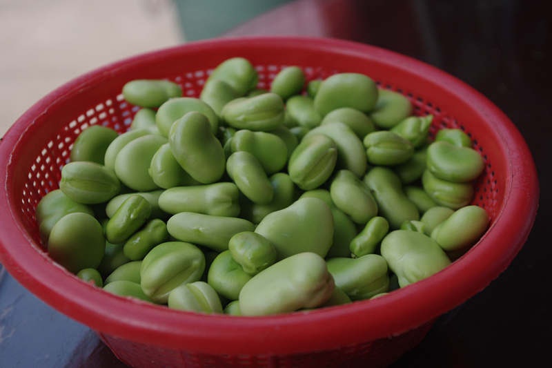 糯香蠶豆米飯