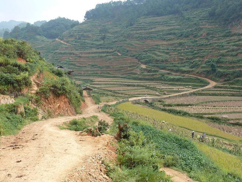 村內道路