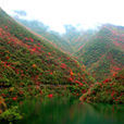 五龍河旅遊風景區(五龍河旅遊風景區)