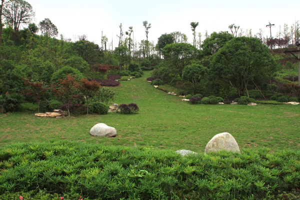 桂憩綠野