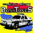 365 Days(美國1994年The Mighty Mighty Bosstones演唱的歌曲)