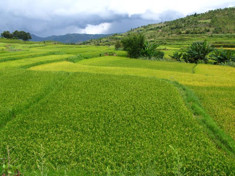 他達大寨村