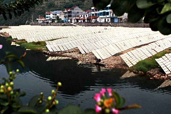 嵊州榨面