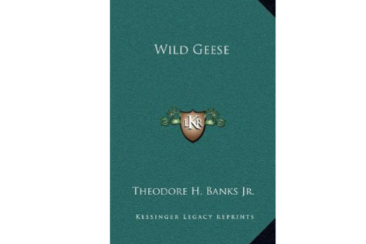 Wild geese(瑪麗·奧麗維所著圖書)