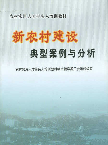 新農村建設典型案例與分析