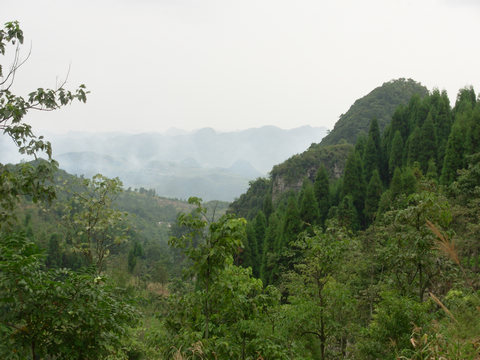 平寨鎮底溪生態森林公園