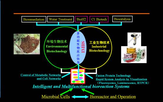 清華大學環境生物技術實驗室