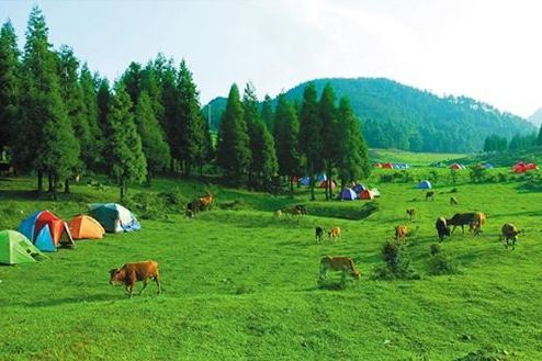 石柱千野草場