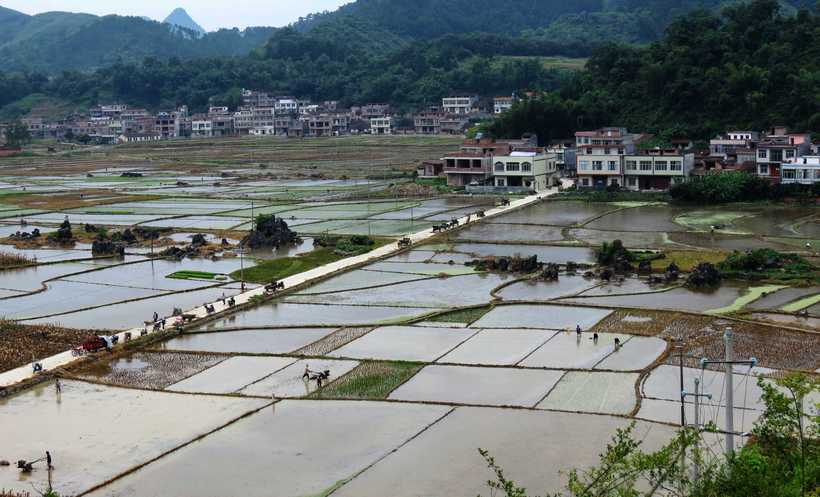 三樂村(廣西隆安縣都結鄉三下轄村)