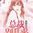 婚情告急：總裁大人別搞事(夏漫心創作的網路小說)