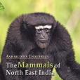 The Mammals of North East India