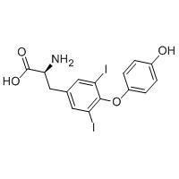 二碘甲狀腺素