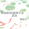 穿成BOSS我卻不會武功