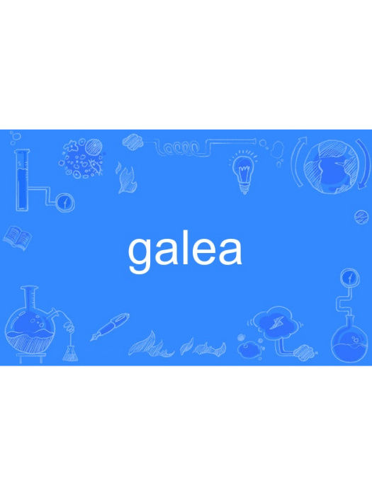 galea