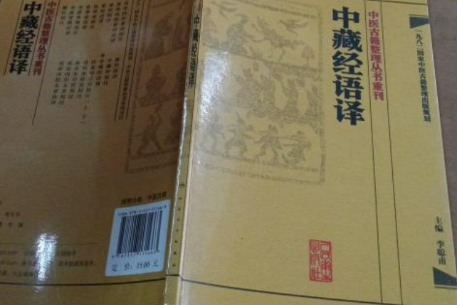 中醫古籍整理叢書重刊：中藏經語譯