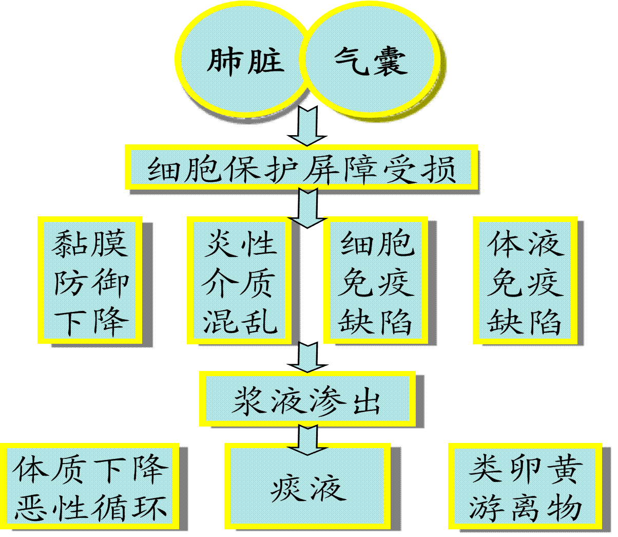 病原微生物作用機體至發生氣囊炎過程