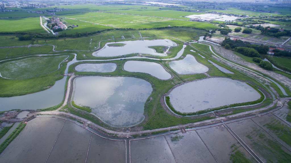 江蘇崑山天福國家濕地公園