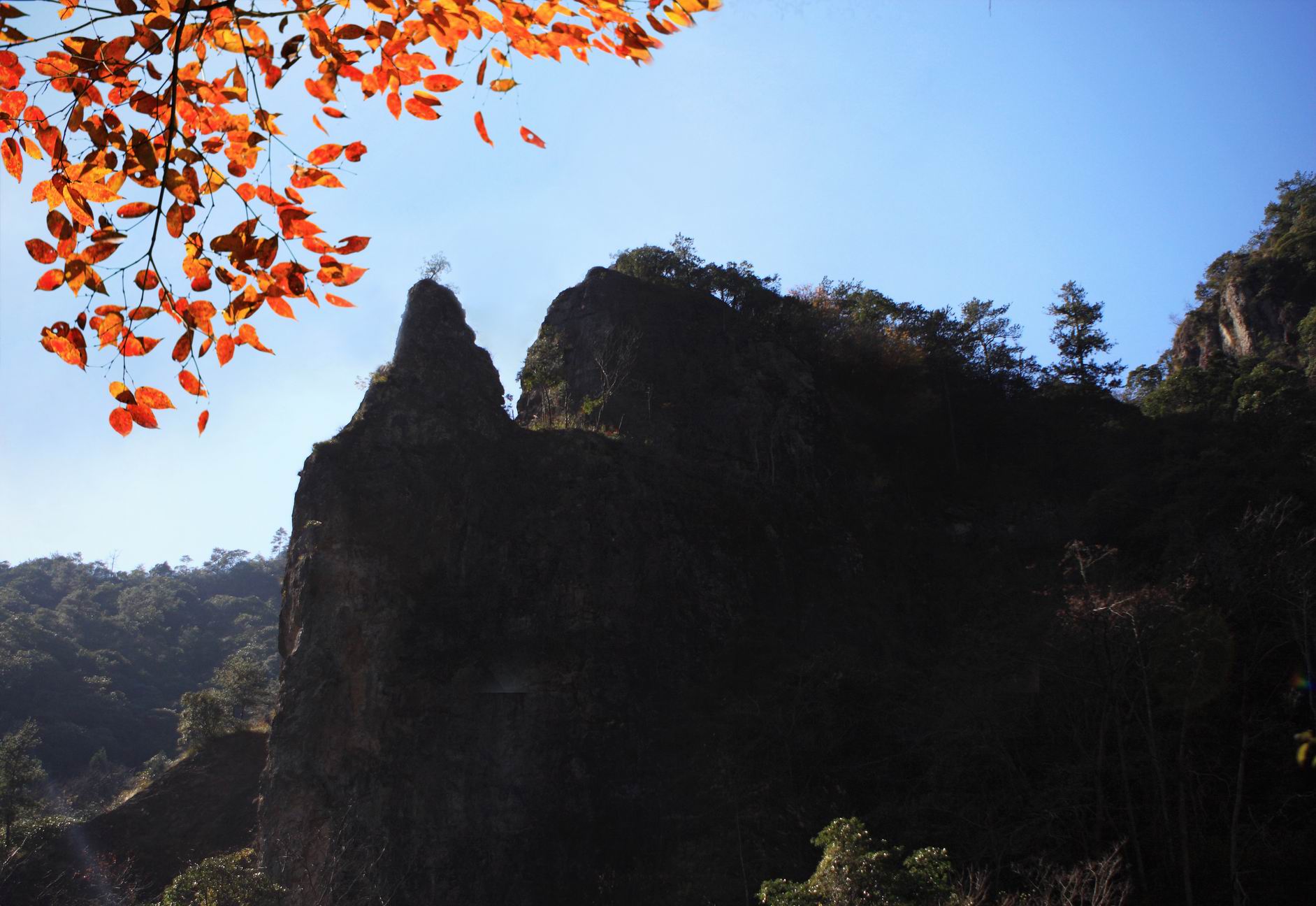 浙江銅鈴山國家森林公園(銅鈴山國家森林公園)