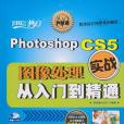 Photoshop CS5圖像處理實戰從入門到精通