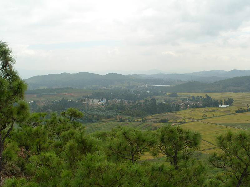 上河壩村