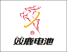 中銀（寧波）電池有限公司