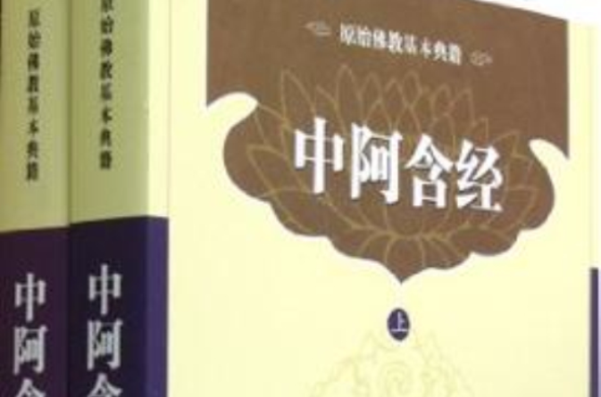 中阿含經（上·下冊）