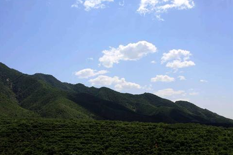 聖井山(江西省鷹潭市聖井山)