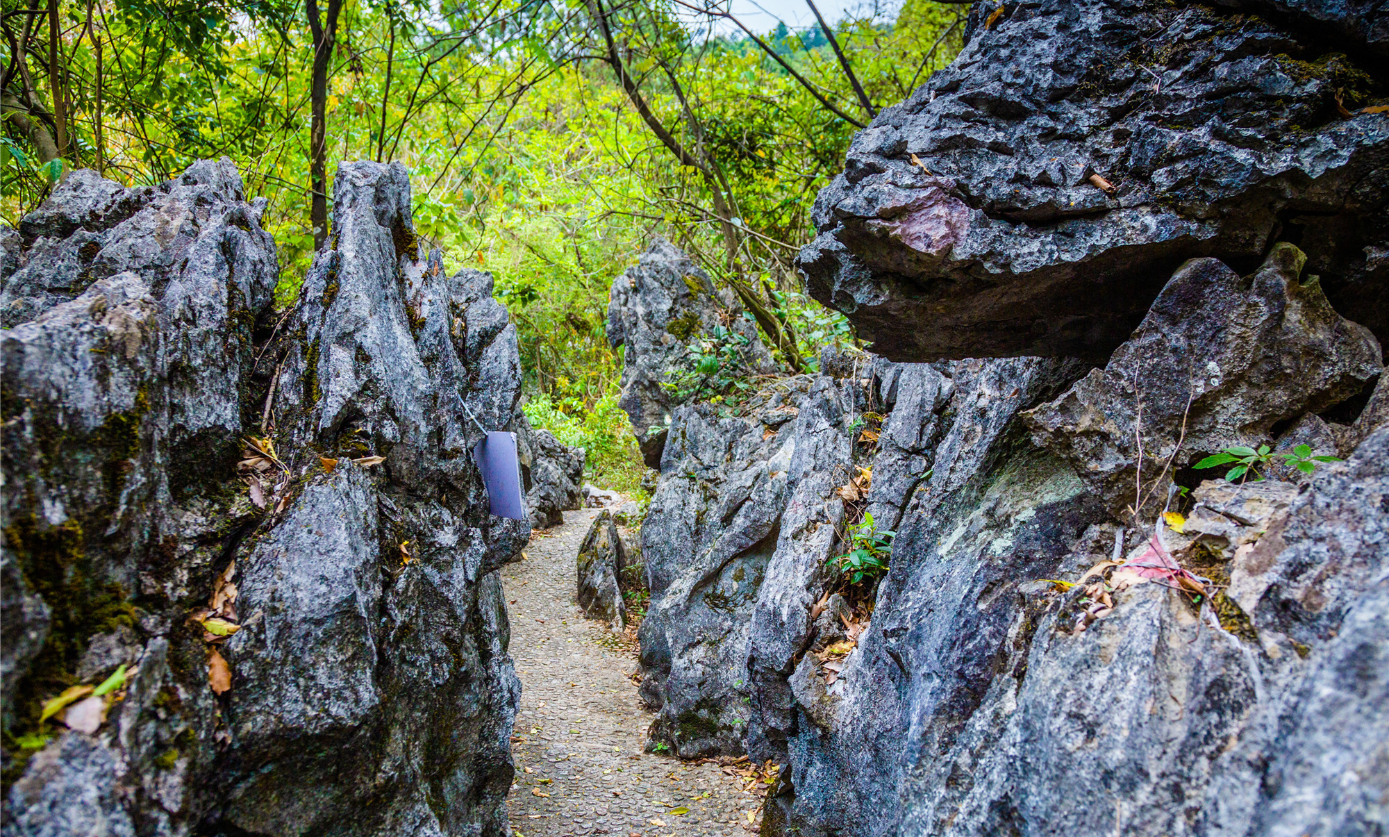 神峰關