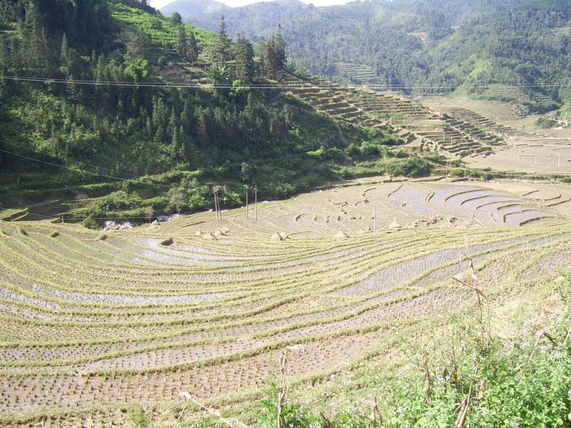 新田箐村