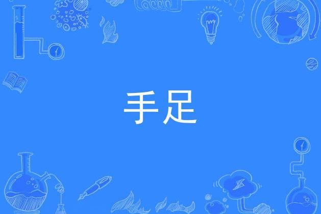 手足(張新成、賈玲等合唱歌曲)