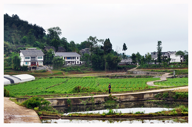 三合鎮(重慶市璧山區三合鎮)