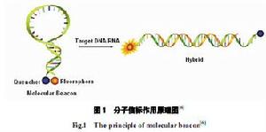 光學分析